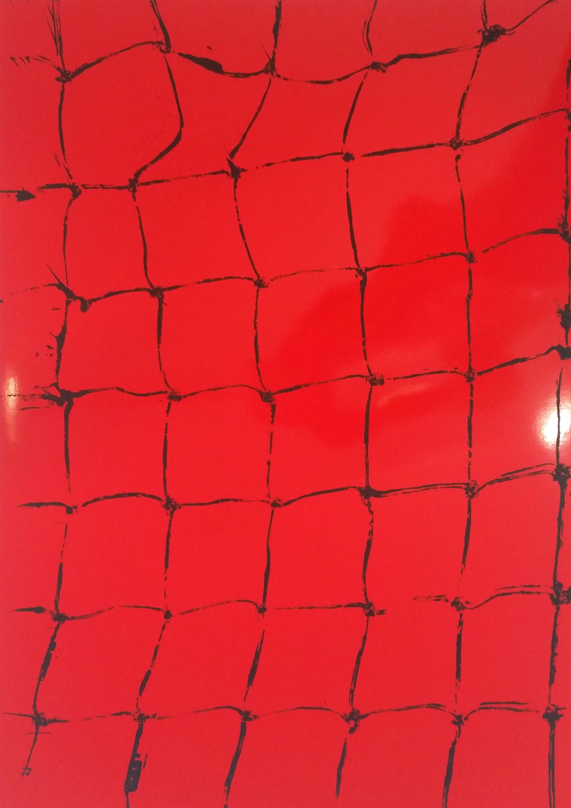 Claude VIALLAT, Filet , 2012