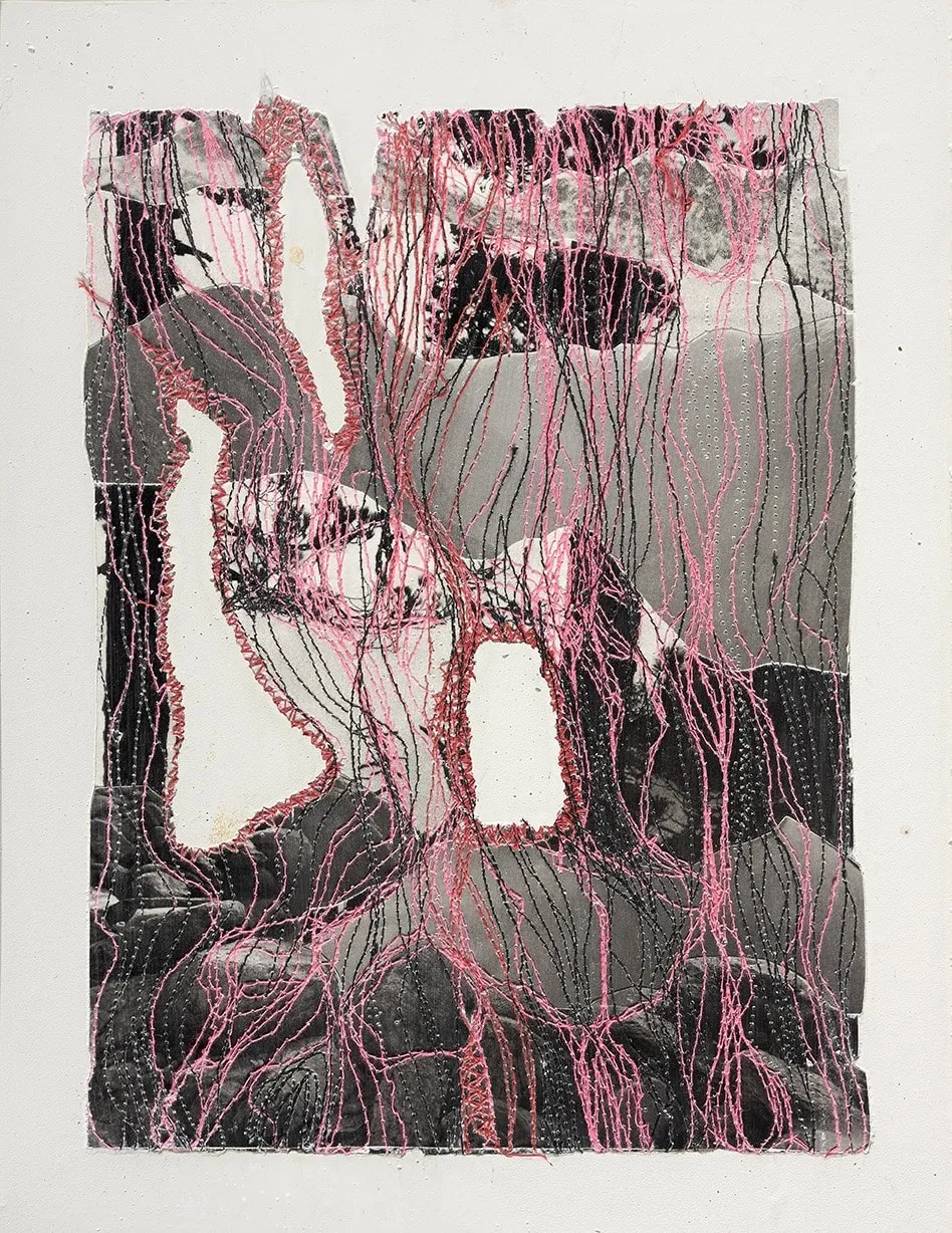 Brankica Žilović, De ce monde, 2025