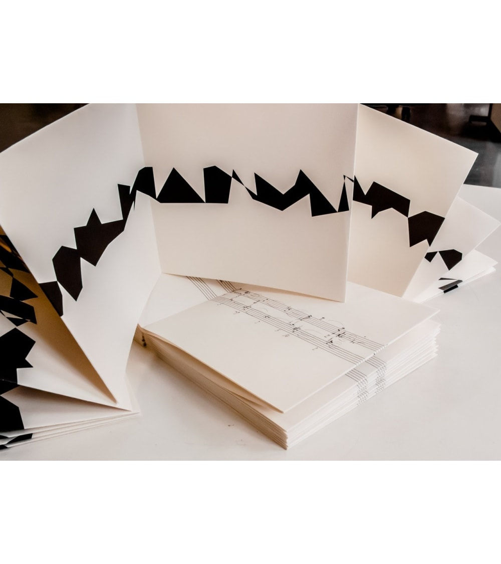 Vera MOLNAR, Ni queue ni tête, 2015