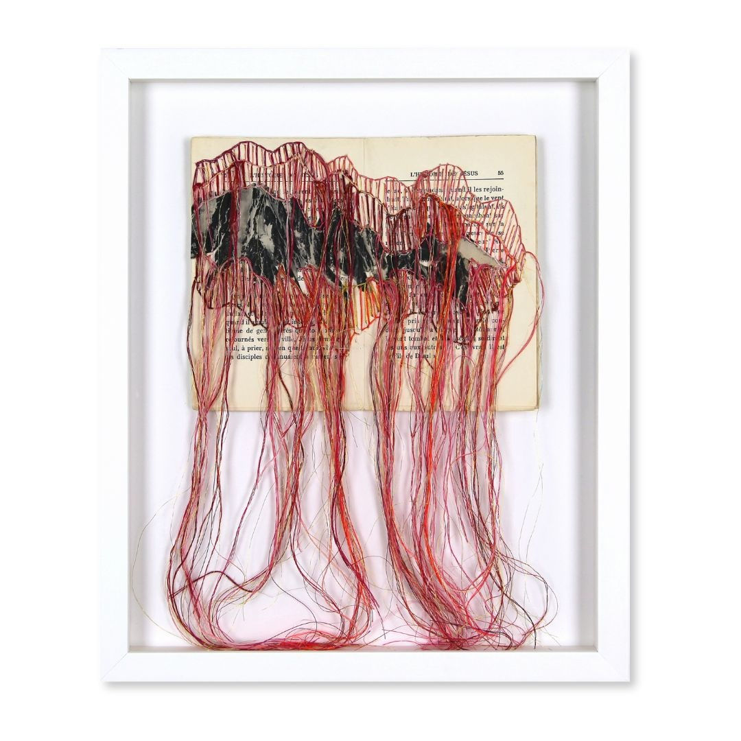 Brankica Žilović, Devins paysages, 2024