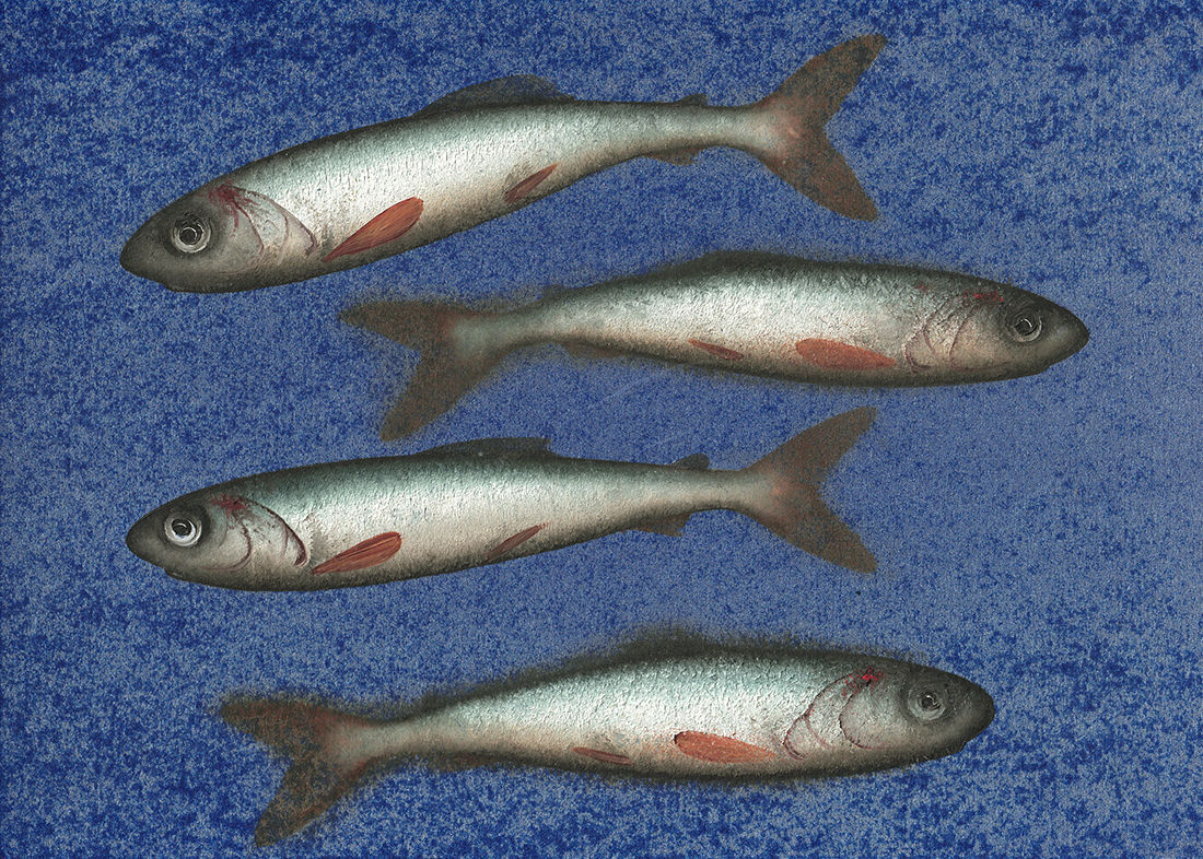 Donald Provan, Crossover (154)