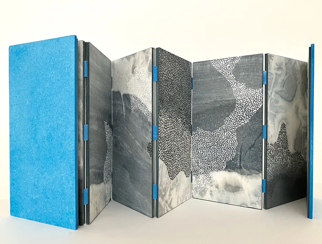 Susie Leiper, Wayward umbrae