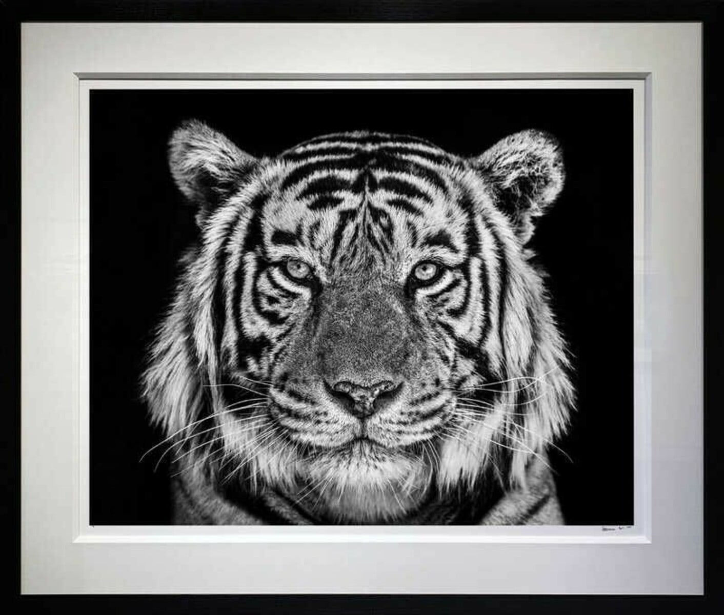 David Yarrow, Rajasthan, 2019