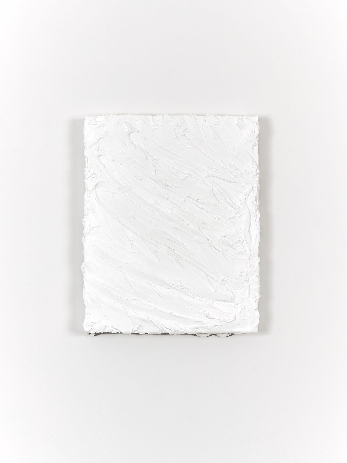 Shannon Ferraioli, Salted Silk, 2021