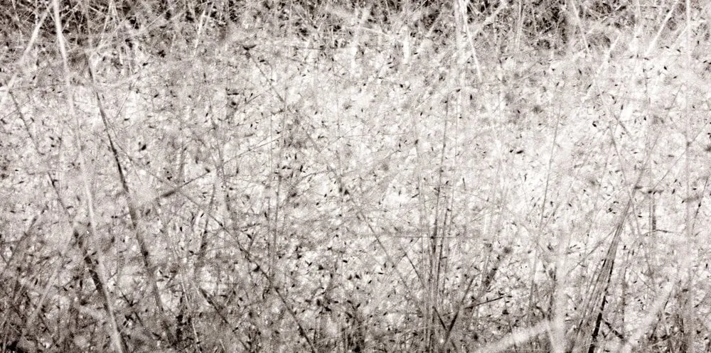 Yuming Han, Relief 4, 2021