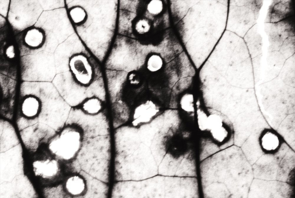 Yuming Han, Relief 1, 2021