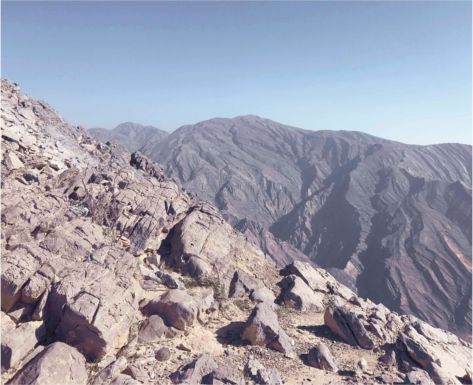 Steve Macleod, Hello, 2015-2017