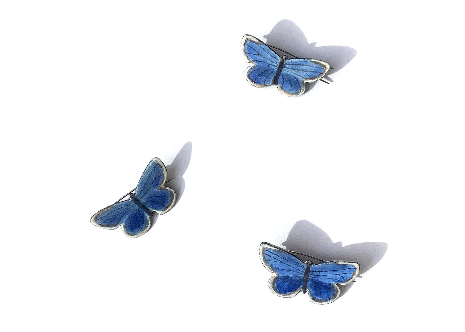 Jutta Klingebiel, Hauhecchelbäling (Common Blue Butterfly)polyommatus icarus, 2022