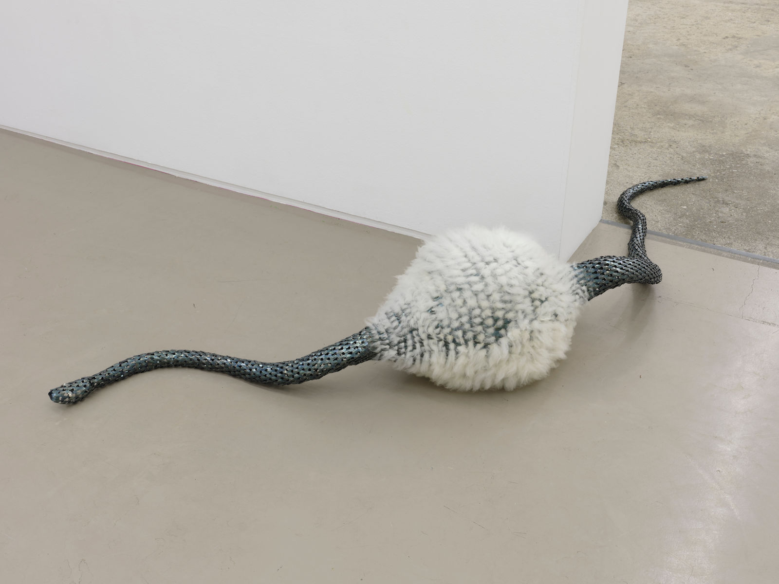 David Bielander, Sheep (In Snake), 2023