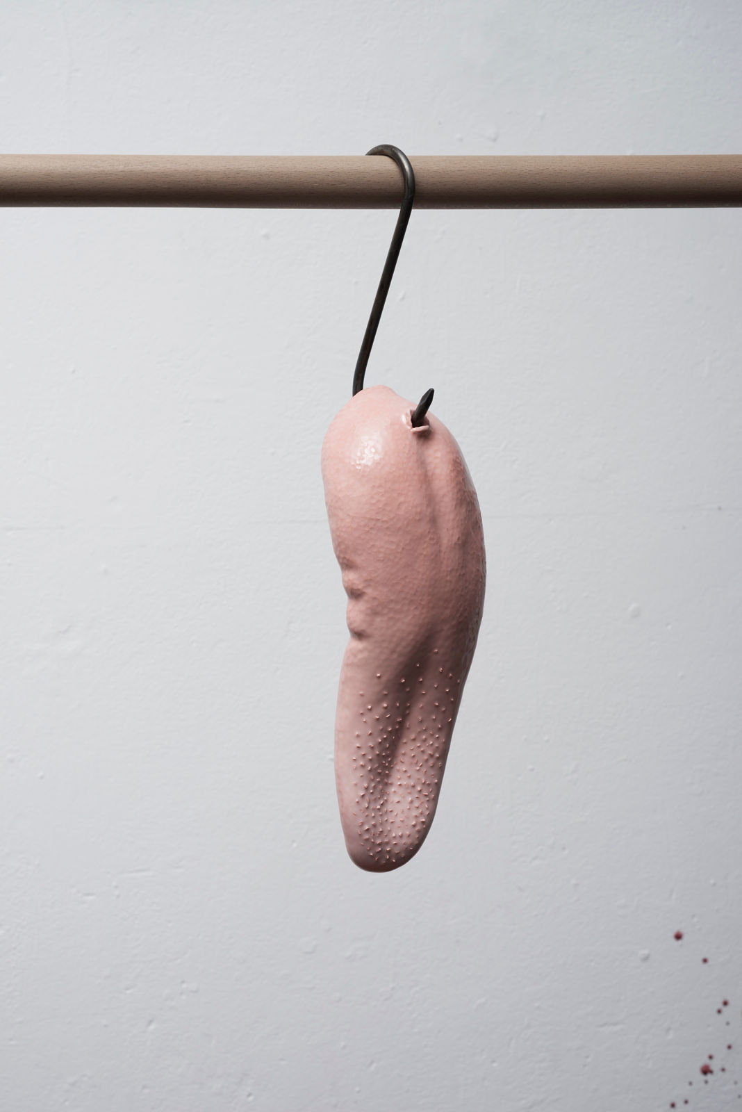 David Bielander, Ox Tongue, 2024