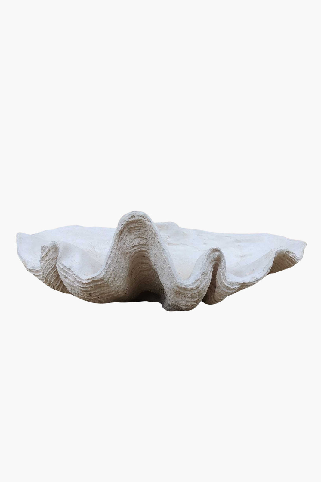 Composite Cast Giant Clam Shell