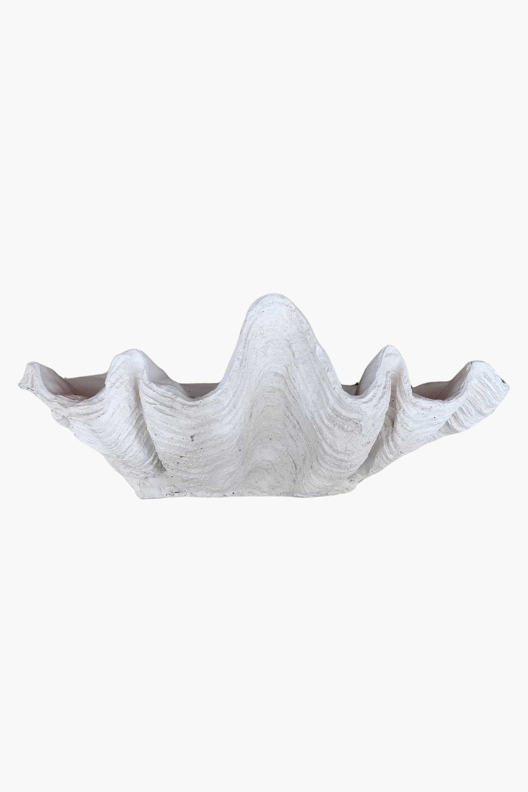 Composite Cast Giant Clam Shell