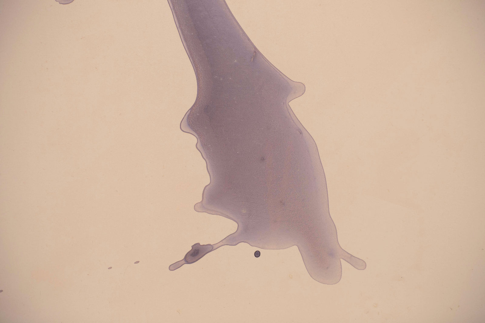 Guo-Liang Tan, Light Frays I, 2019