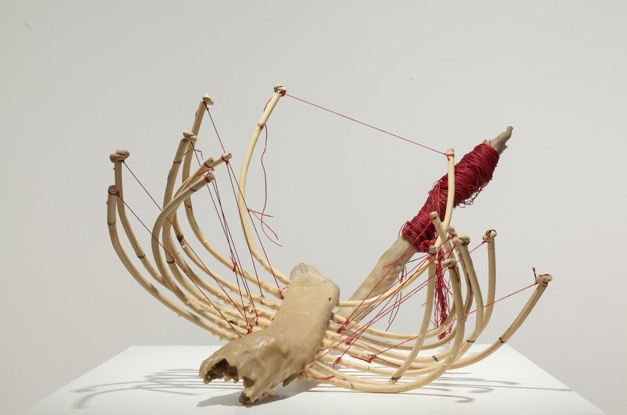 Zai Kuning, Rasuk, 2014