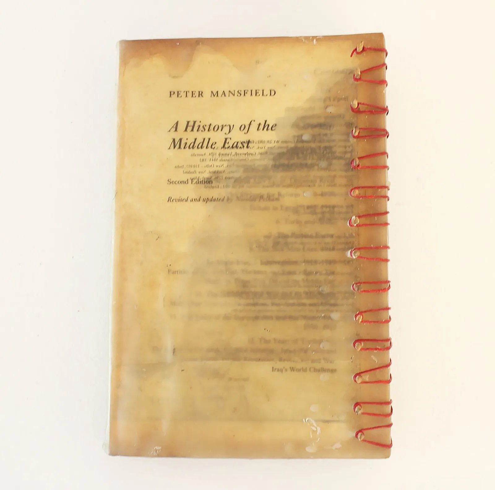 Zai Kuning, Censorship, 2014