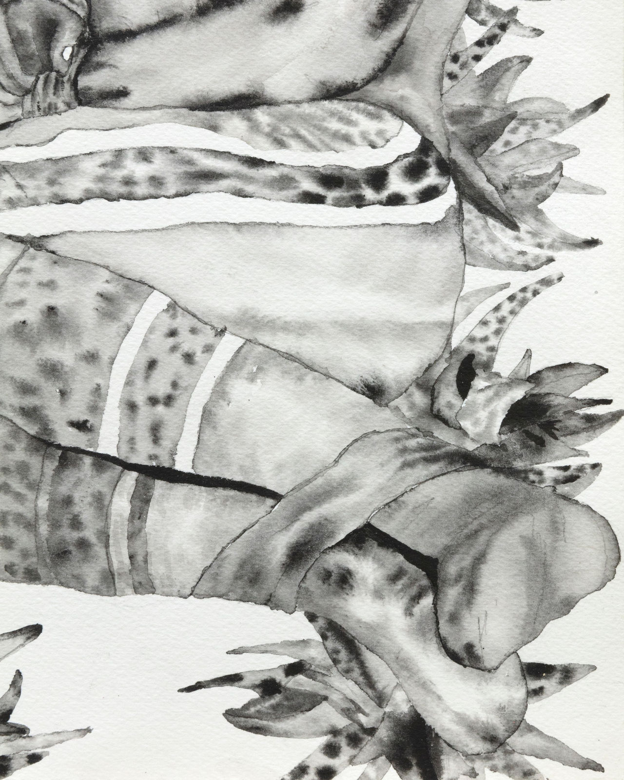 Gray Wielebinski, Metal Bond, 2022