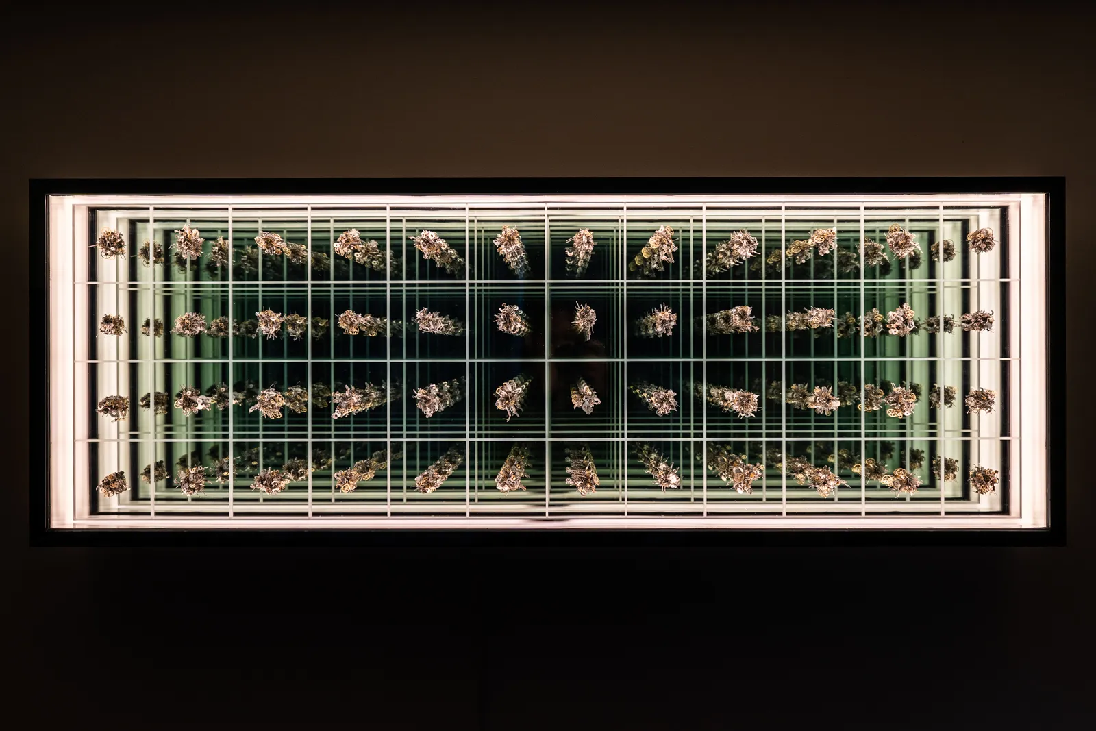 Quentin Carnaille, INFINI II