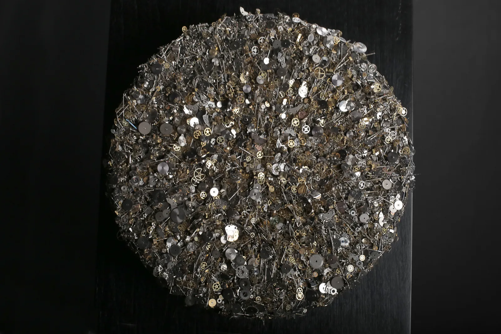 Quentin Carnaille, Apesanteur Z