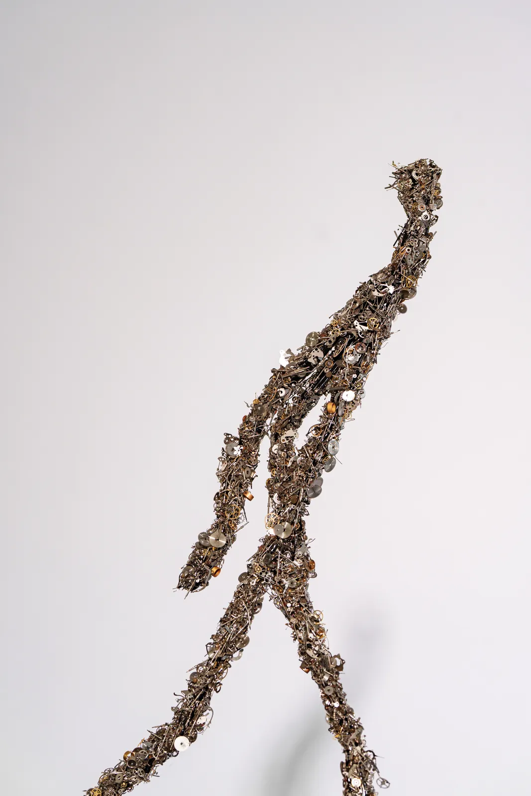 Quentin Carnaille, la marche du temps