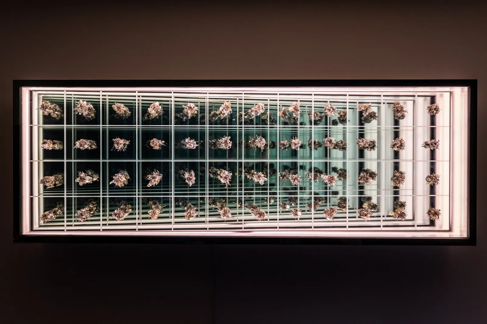 Quentin Carnaille, INFINI II