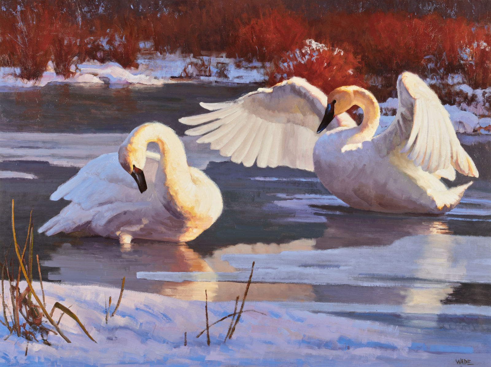 Dave Wade, Ice and Elegance