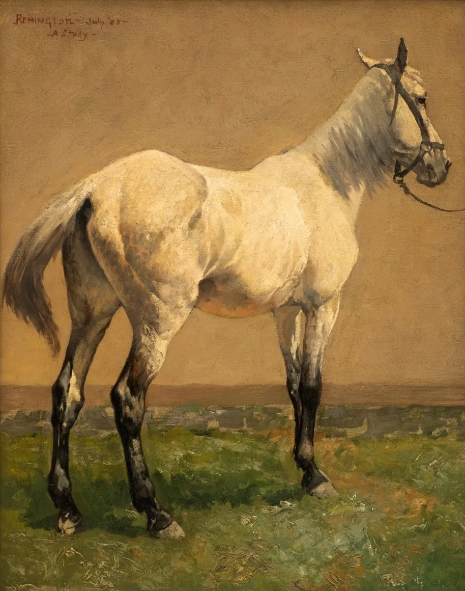 Frederic Remington, “-A Study-“ (Cavalry Horse), d. 1888