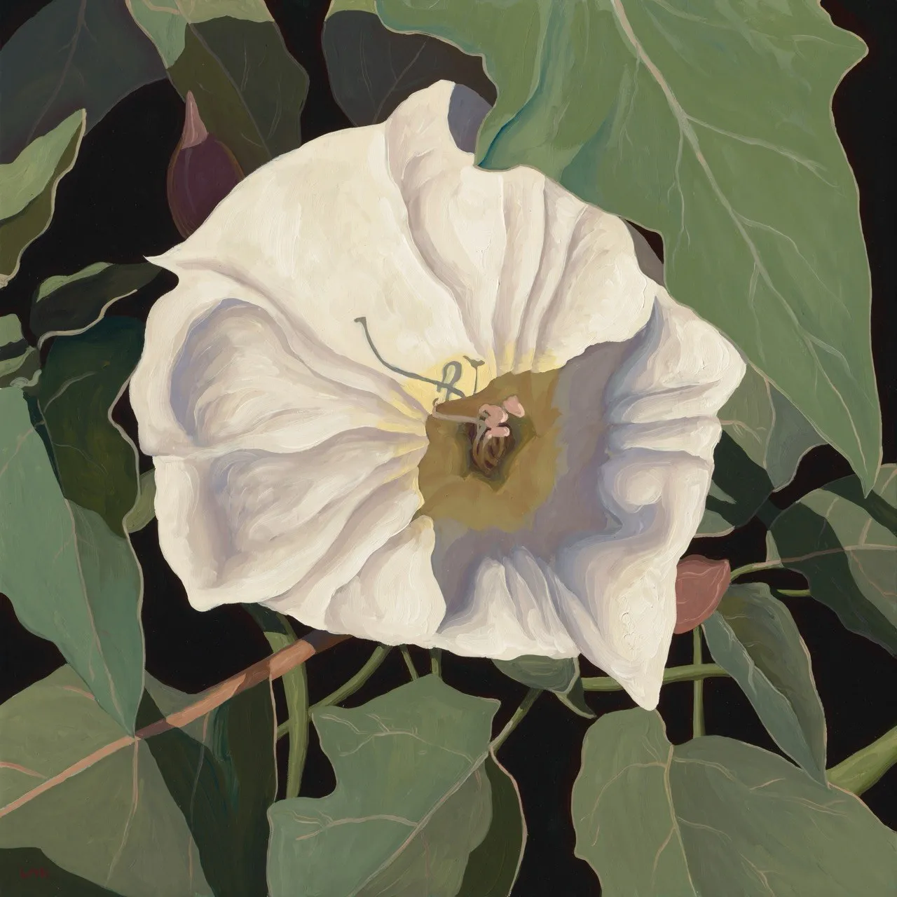 Logan Maxwell Hagege, In the Oak Grove, d. 2025