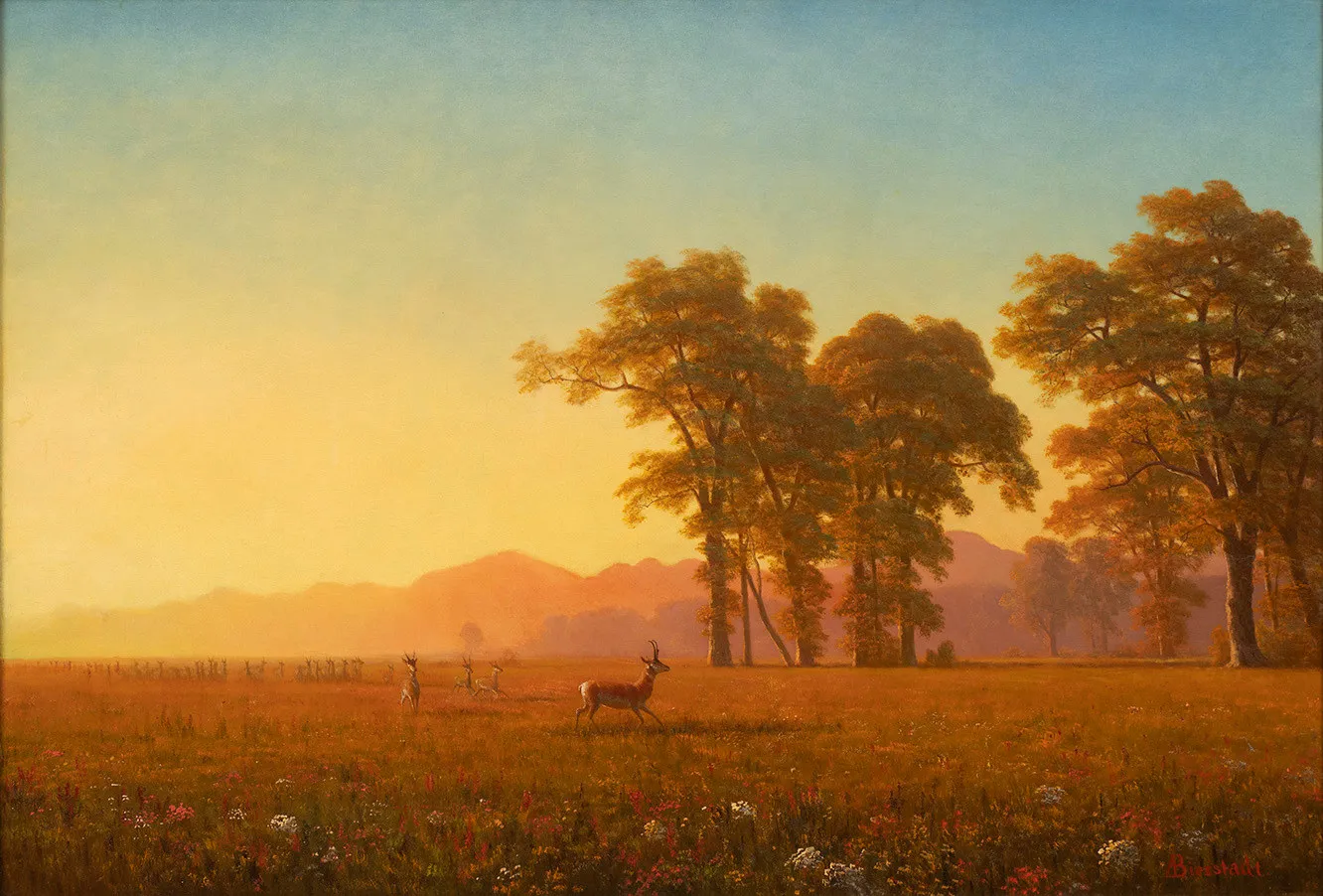 Albert Bierstadt, Autumn (Antelope on The Plains of Yosemite, From the East Looking West), c. 1863