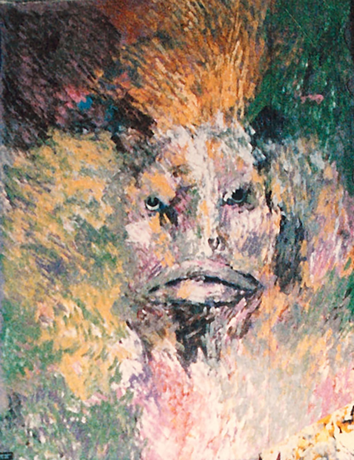 Underwater Wilderness, Stone fish surrounded by coral, 1984