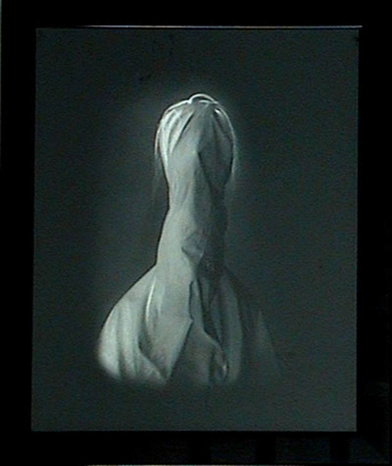 Marta Maria Perez Bravo, Caballo, 2001