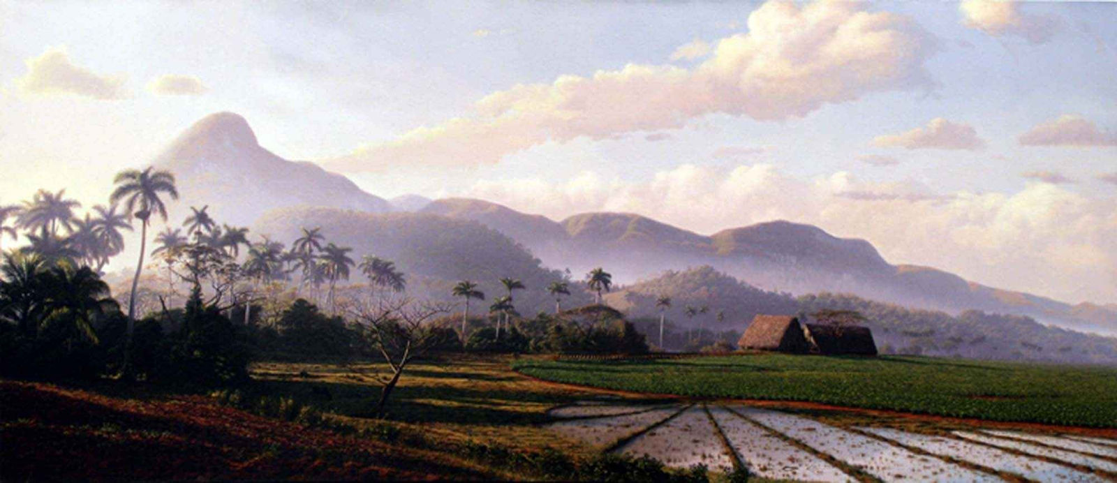 Ernesto Estevez, La sierra de la guacamaya, 2008