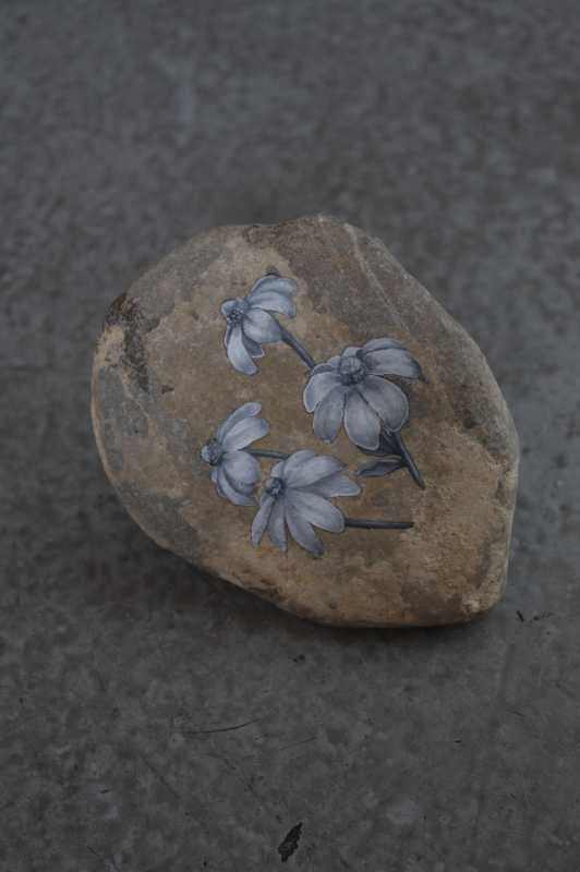 Aimee Garcia Marrero, Lluvia de Ilusiones, 2010