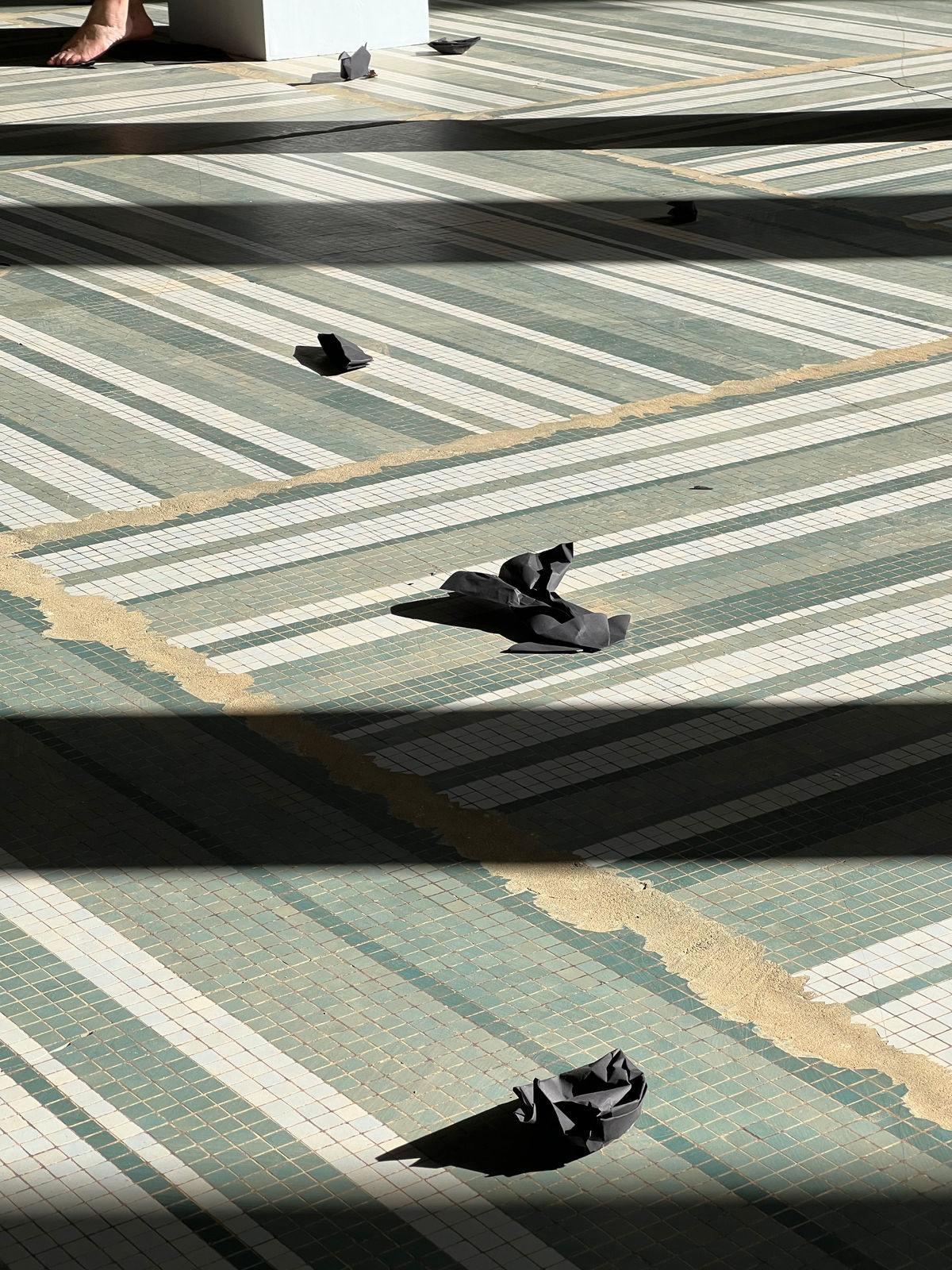 Susana Pilar Delahante Matienzo, Historias negras (Black histories), 2022