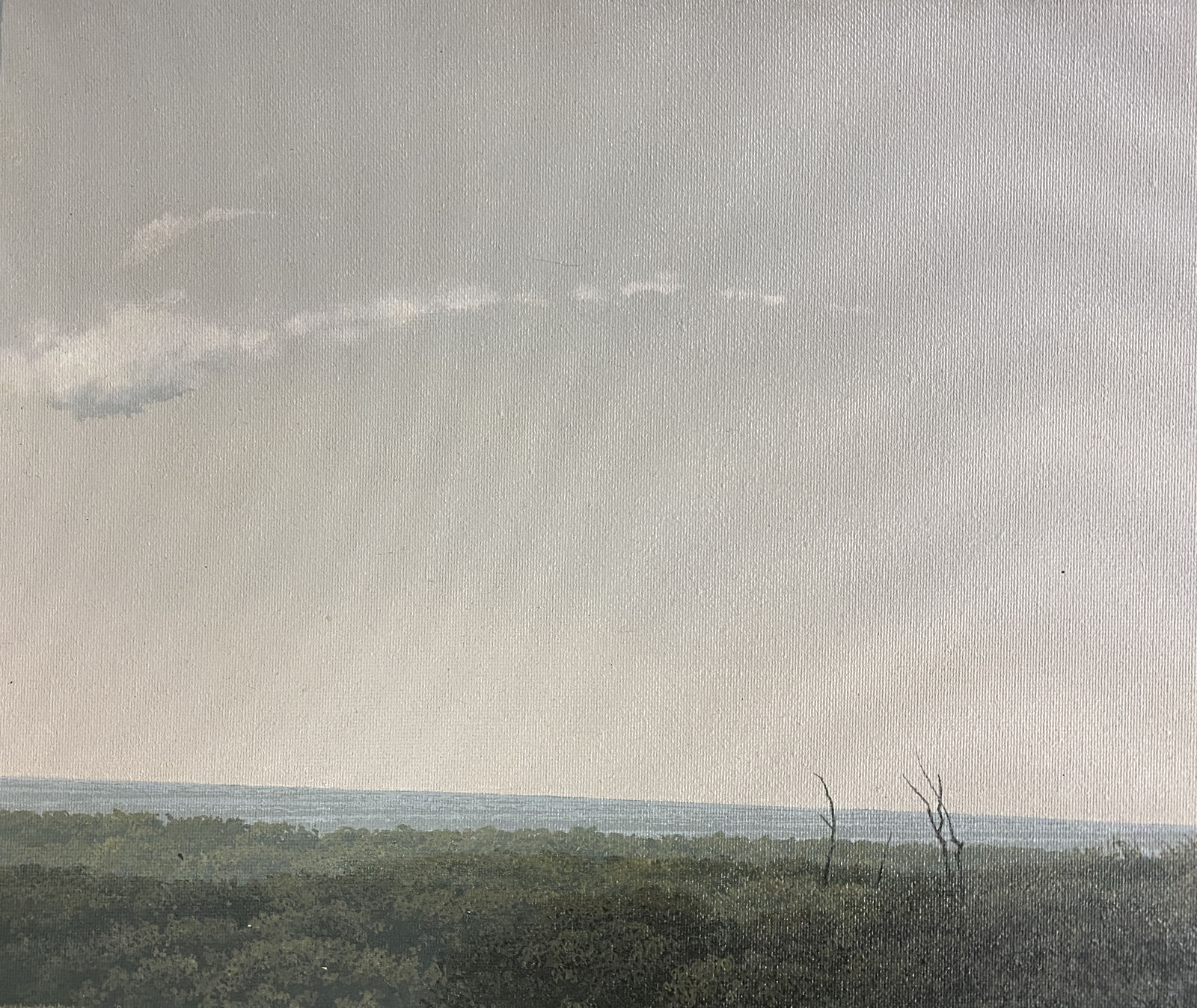 Diego Torres, Fronteras, 2006