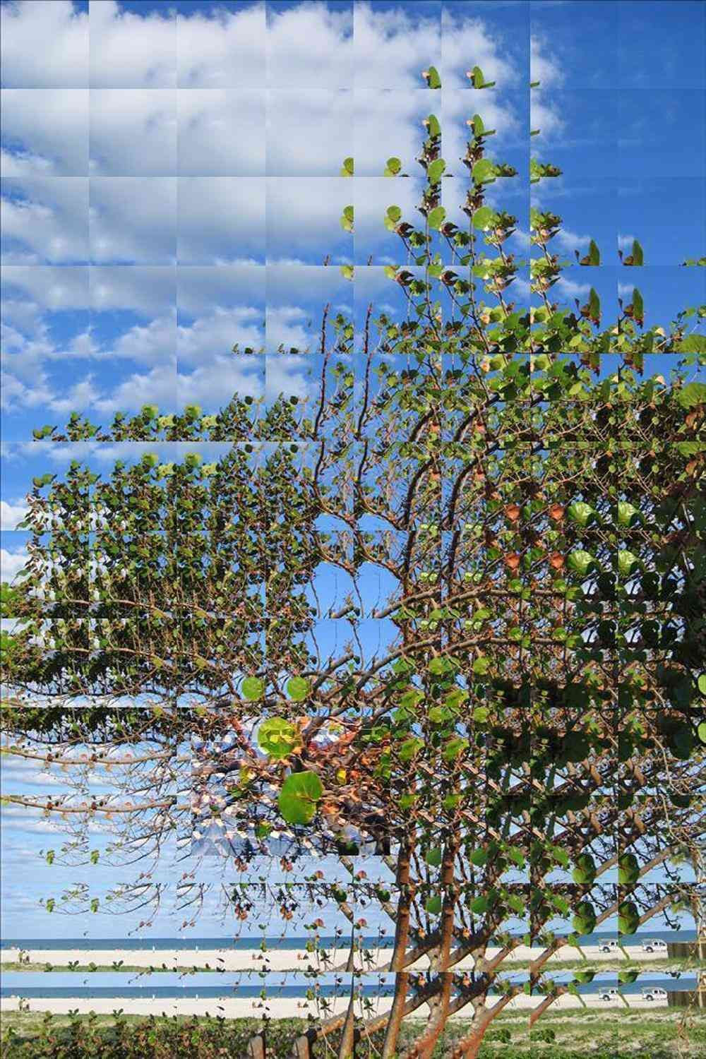 Rusty Scruby, Leaf, 2006