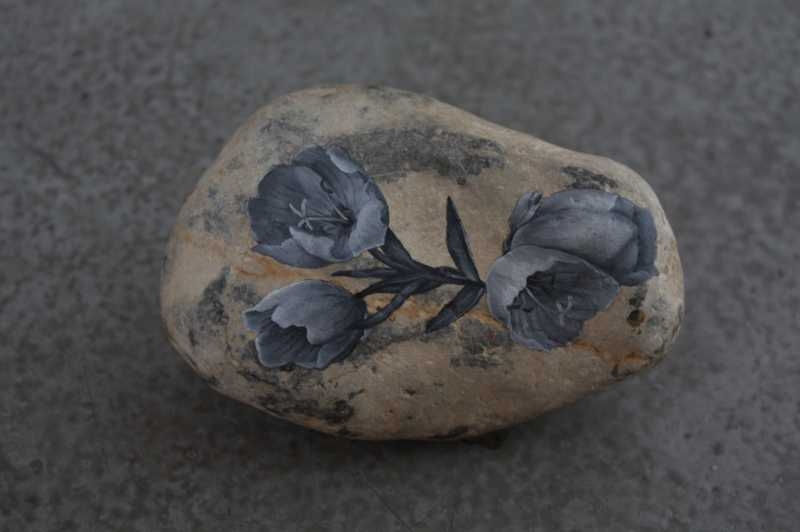 Aimee Garcia Marrero, Lluvia de Ilusiones, 2010