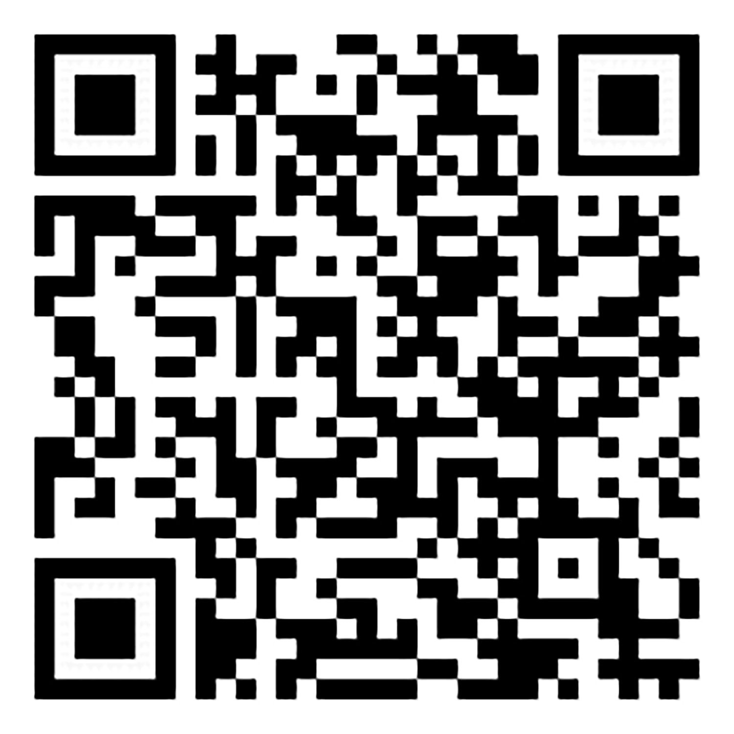 Pavel Acosta, Portrait of a Woman (Dutch, Leiden 1606–1669 Amsterdam) By Rembrandt From the series: 'Stolen from the Met', 2014