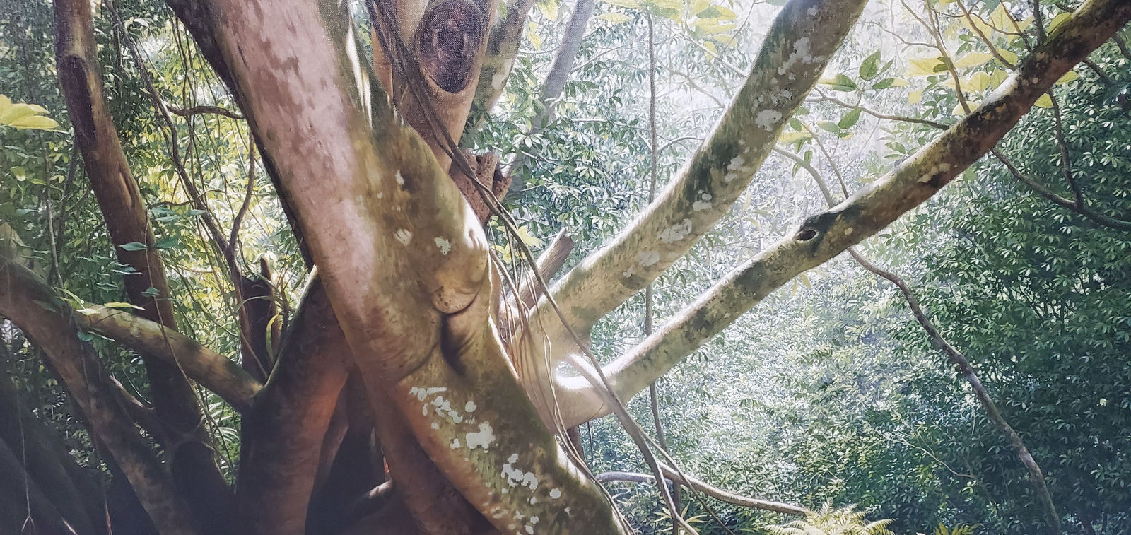 Ernesto Estevez, El Manantial, 2009