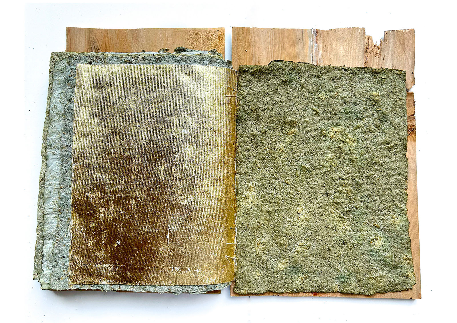 Vero Murphy, Cultural Frictions (Book I), 2023