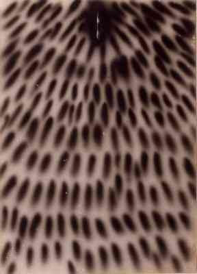 Jose Franco, Untitled, N.D.