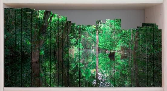 Claudia Jaguaribe, Biblioteca III, 2008