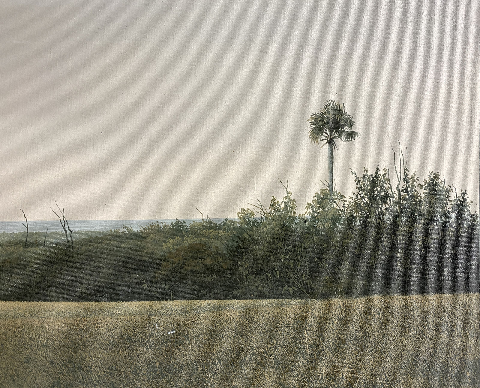 Diego Torres, Fronteras, 2006