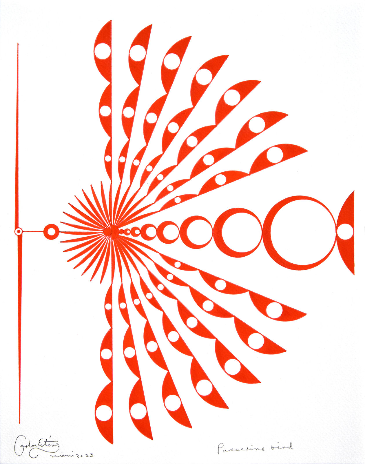 Carlos Estevez, Passerine Bird, 2023