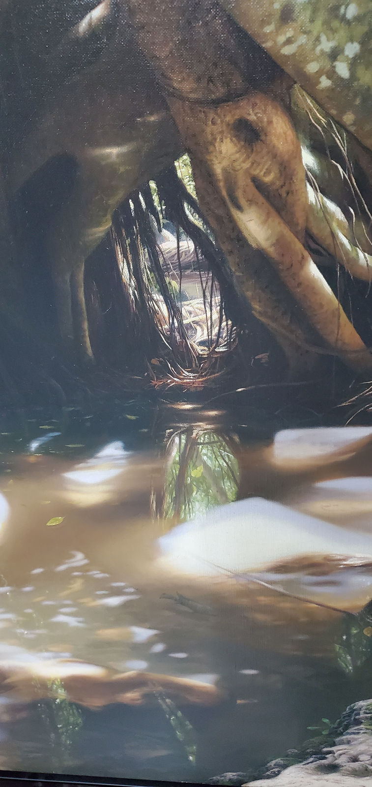 Ernesto Estevez, El Manantial, 2009