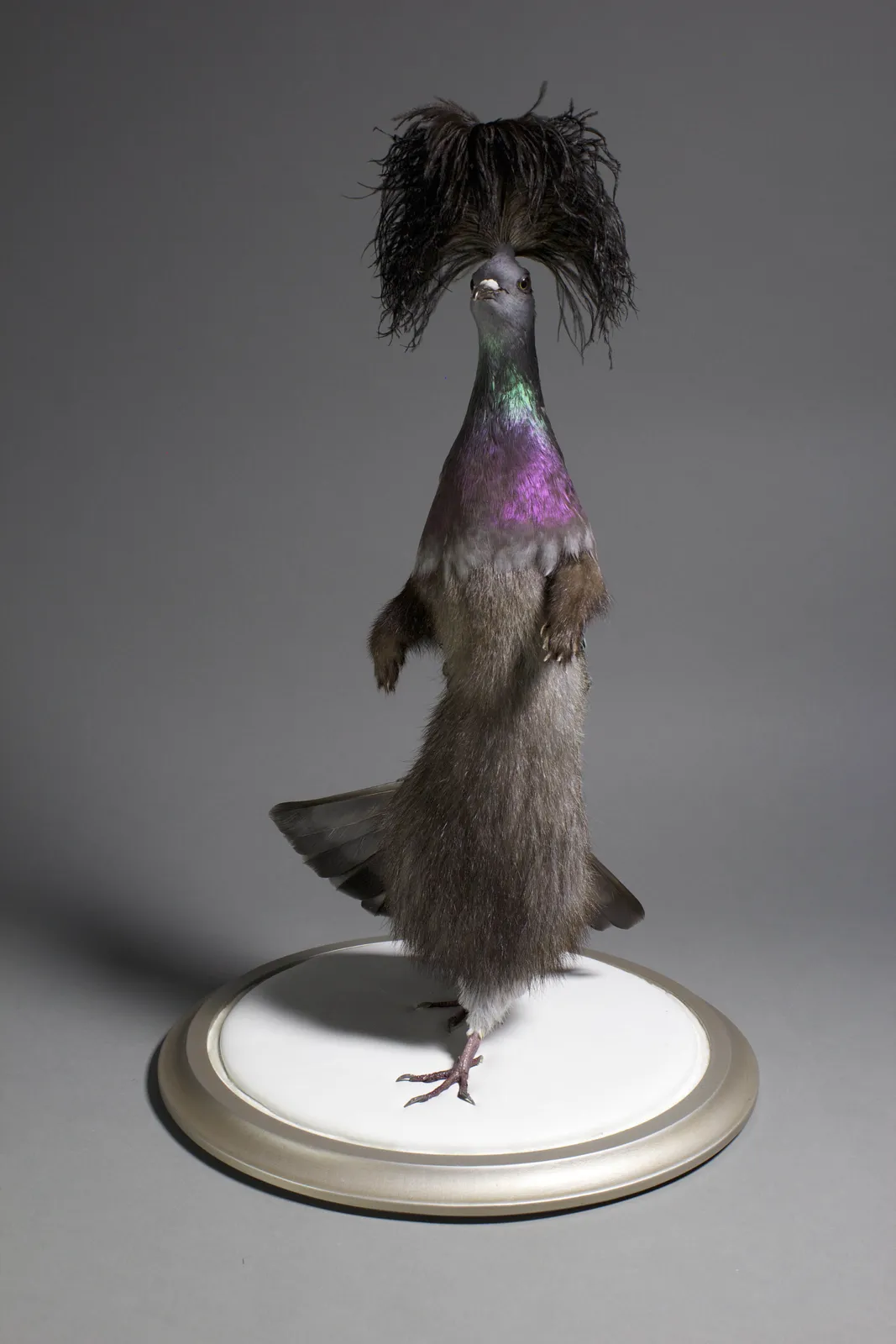 Enrique Gomez de Molina, Lolita, n.d