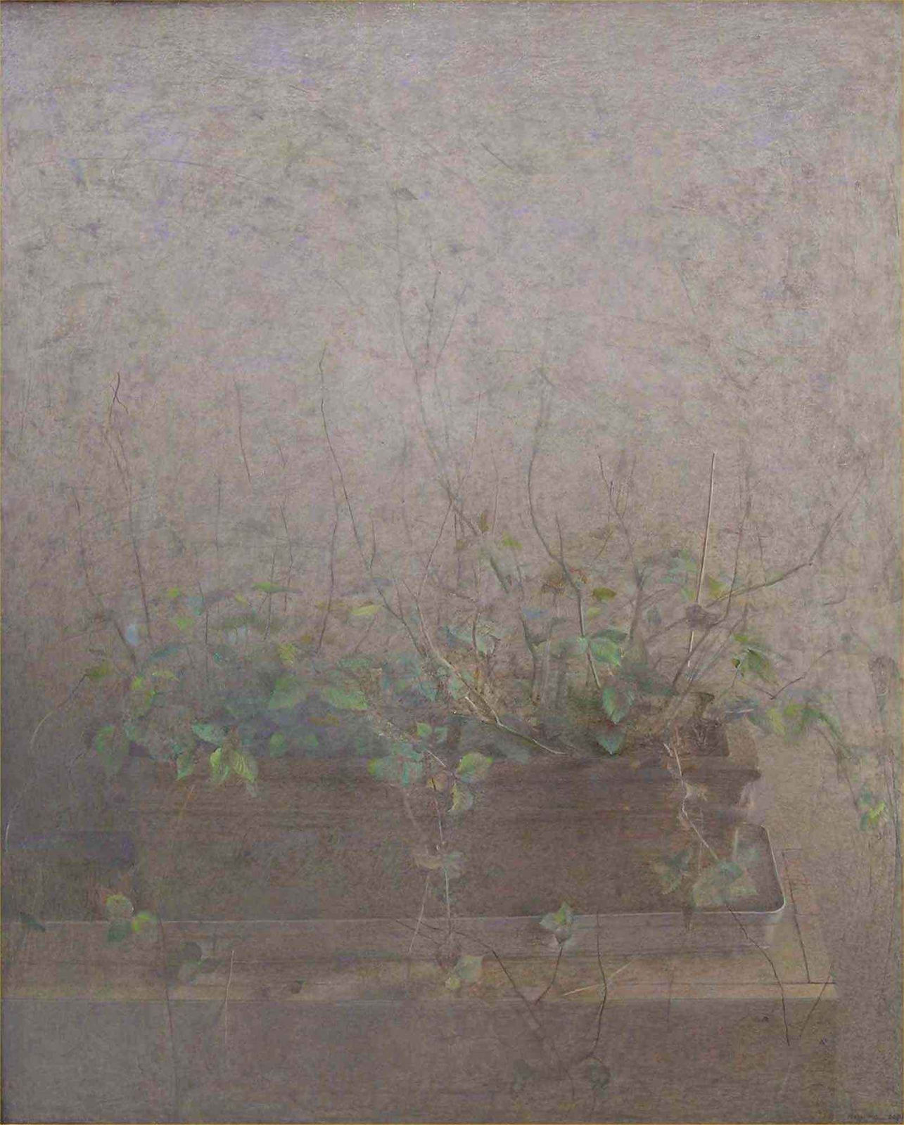 Masao Haijima, Les Plantes