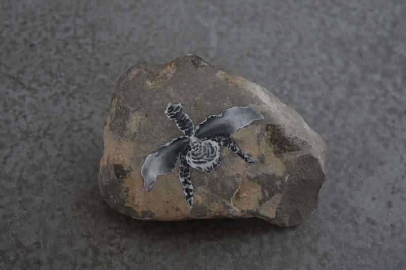 Aimee Garcia Marrero, Lluvia de Ilusiones, 2010