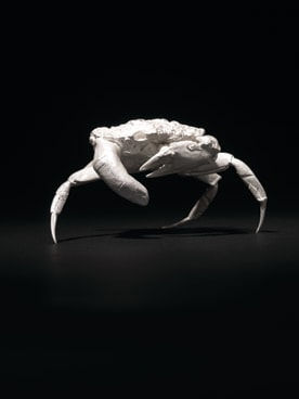 Dorothy Cross, Finger Crab, 2008