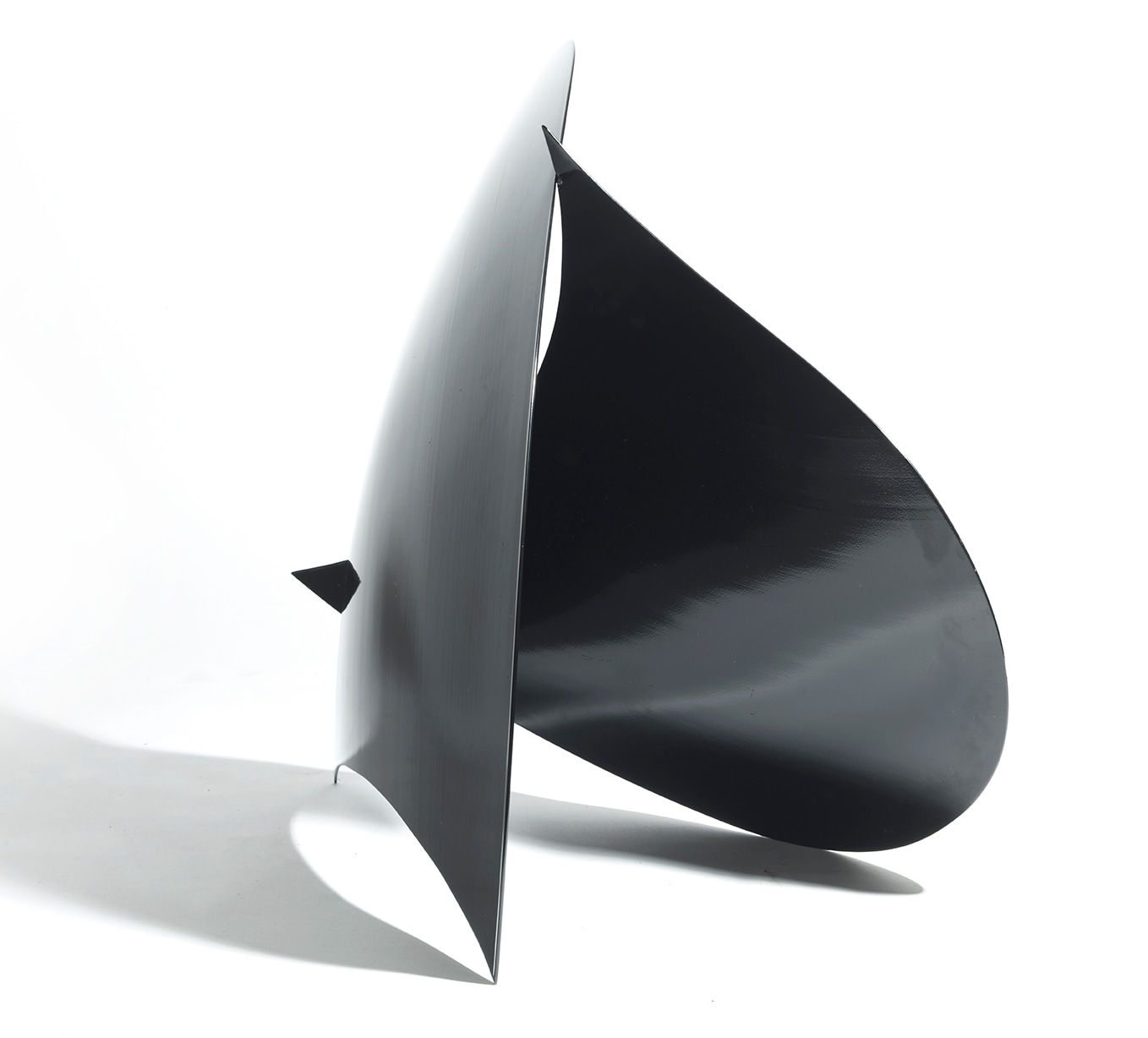 Bryan Kneale RA, Plover, 2012