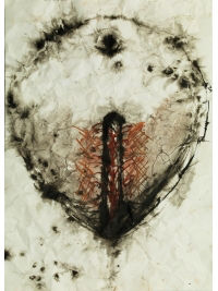 Briony Marshall, CS6 - Heart Cells Migrating 2, 2013